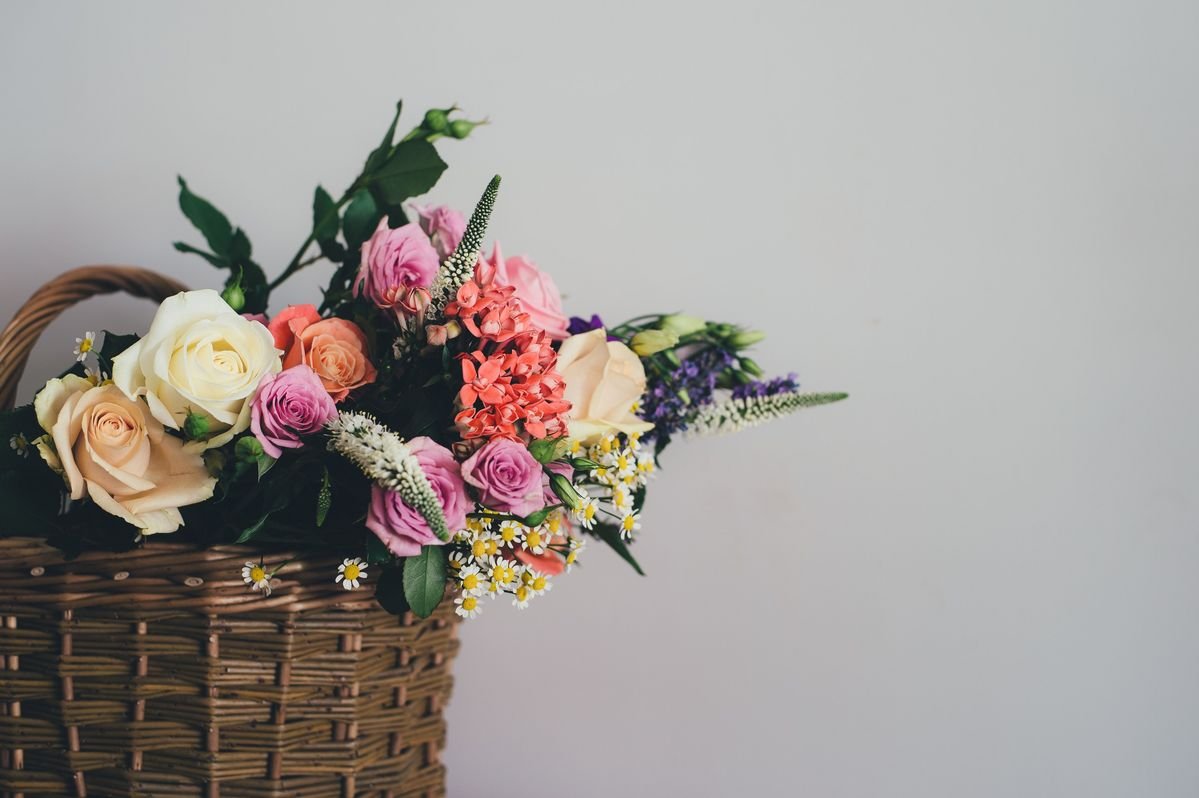 annie-spratt-113596-unsplash